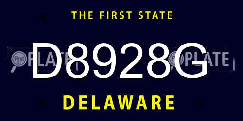 D8928G Delaware License Plate
