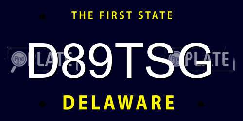 D89TSG Delaware License Plate