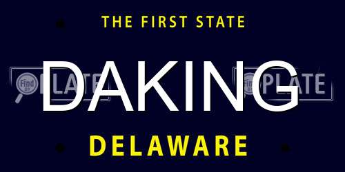 DAKING Delaware License Plate