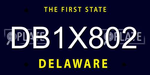 DB1X802 Delaware License Plate