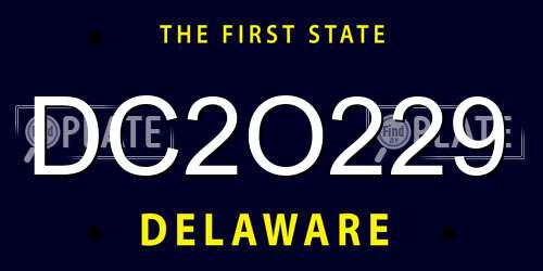 DC2O229 Delaware License Plate