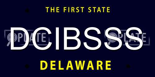 DCIBSSS Delaware License Plate