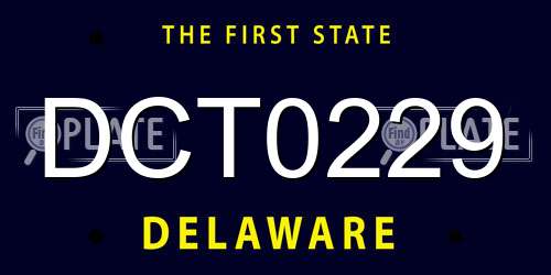 DCT0229 Delaware License Plate