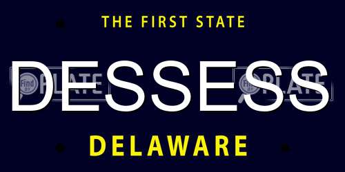 DESSESS Delaware License Plate