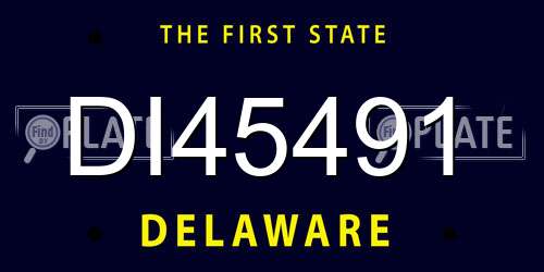 DI45491 Delaware License Plate