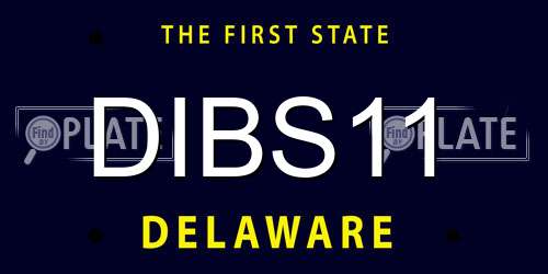 DIBS11 Delaware License Plate