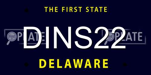 DINS22 Delaware License Plate
