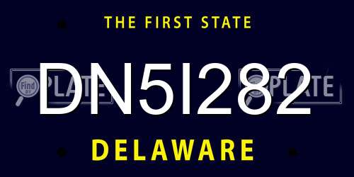 DN5I282 Delaware License Plate