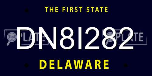 DN8I282 Delaware License Plate