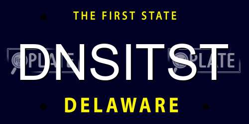 DNSITST Delaware License Plate
