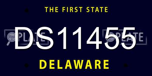 DS11455 Delaware License Plate