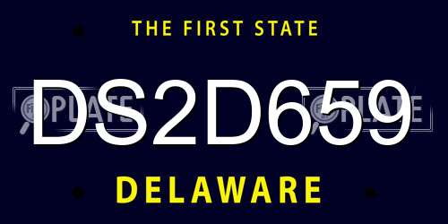 DS2D659 Delaware License Plate