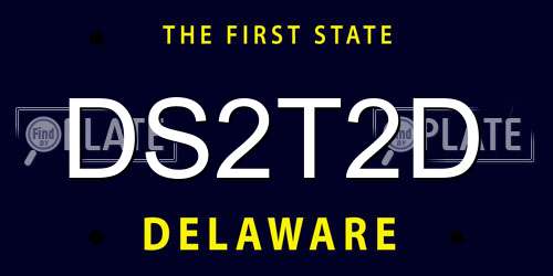 DS2T2D Delaware License Plate