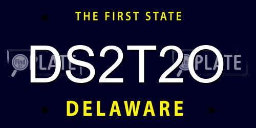 DS2T2O Delaware License Plate