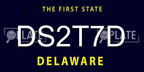 DS2T7D Delaware License Plate