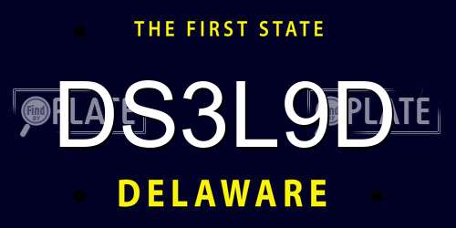 DS3L9D Delaware License Plate