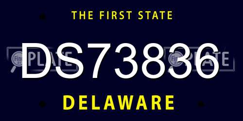 DS73836 Delaware License Plate