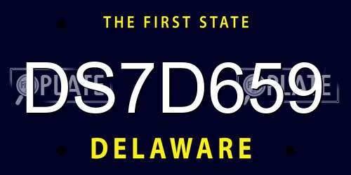 DS7D659 Delaware License Plate