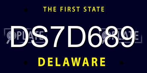 DS7D689 Delaware License Plate