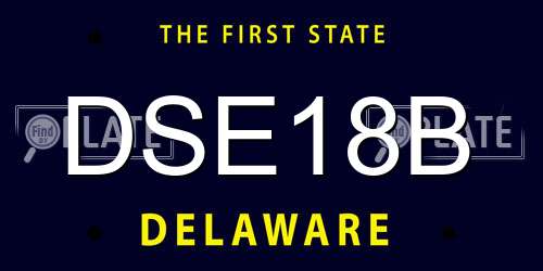 DSE18B Delaware License Plate