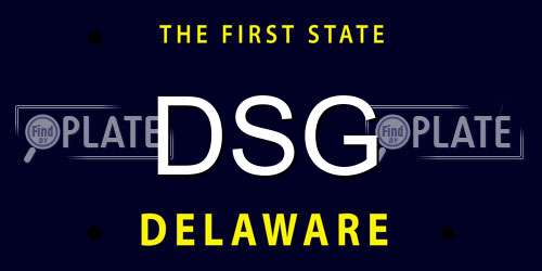 DSG Delaware License Plate