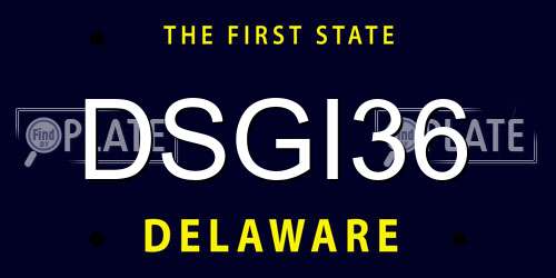 DSGI36 Delaware License Plate
