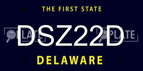 DSZ22D Delaware License Plate