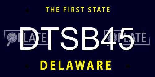 DTSB45 Delaware License Plate