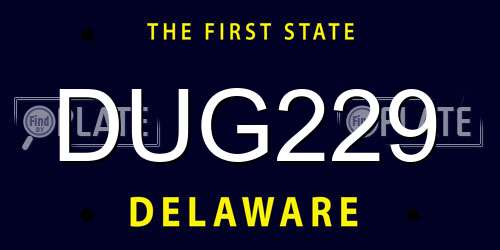 DUG229 Delaware License Plate