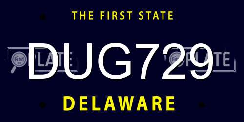DUG729 Delaware License Plate