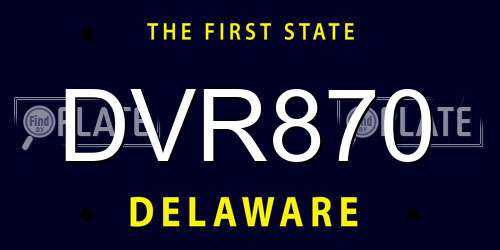 DVR870 Delaware License Plate