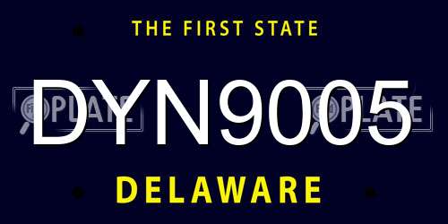 DYN9005 Delaware License Plate