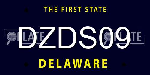 DZDS09 Delaware License Plate