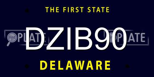 DZIB90 Delaware License Plate