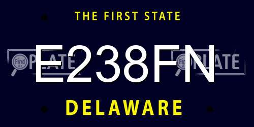 E238FN Delaware License Plate