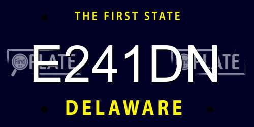 E241DN Delaware License Plate