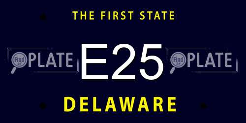 E25 Delaware License Plate