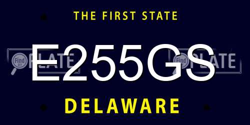 E255GS Delaware License Plate