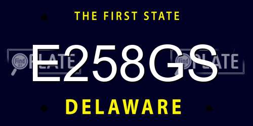 E258GS Delaware License Plate