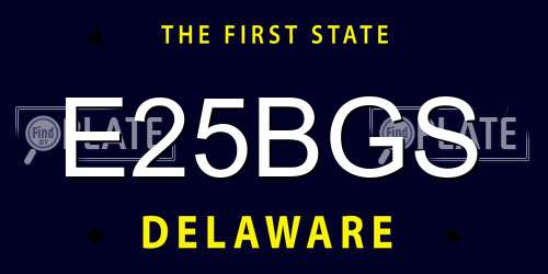 E25BGS Delaware License Plate