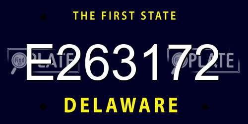 E263172 Delaware License Plate
