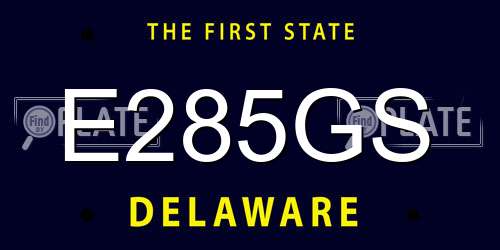 E285GS Delaware License Plate