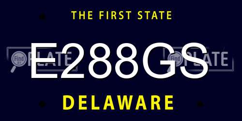 E288GS Delaware License Plate