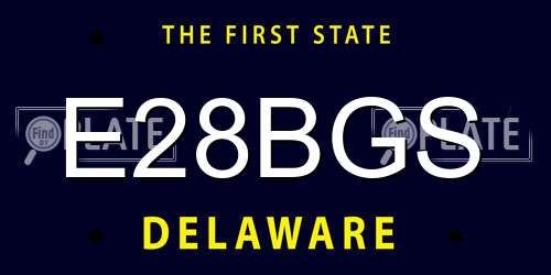 E28BGS Delaware License Plate