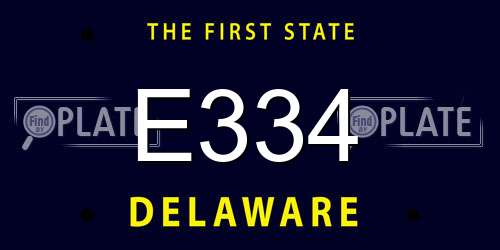 E334 Delaware License Plate