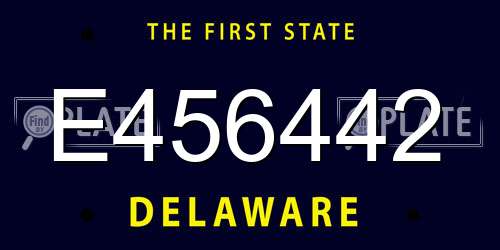 E456442 Delaware License Plate