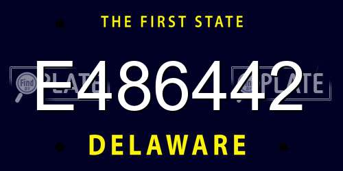 E486442 Delaware License Plate