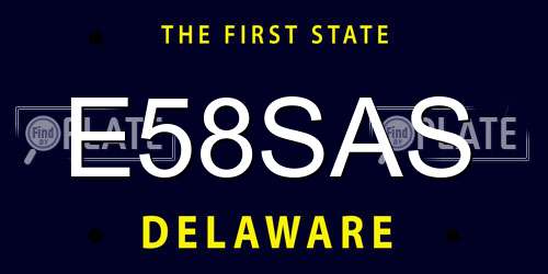 E58SAS Delaware License Plate