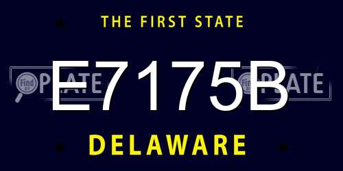 E7175B Delaware License Plate