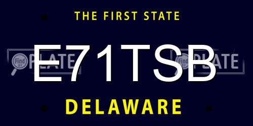 E71TSB Delaware License Plate
